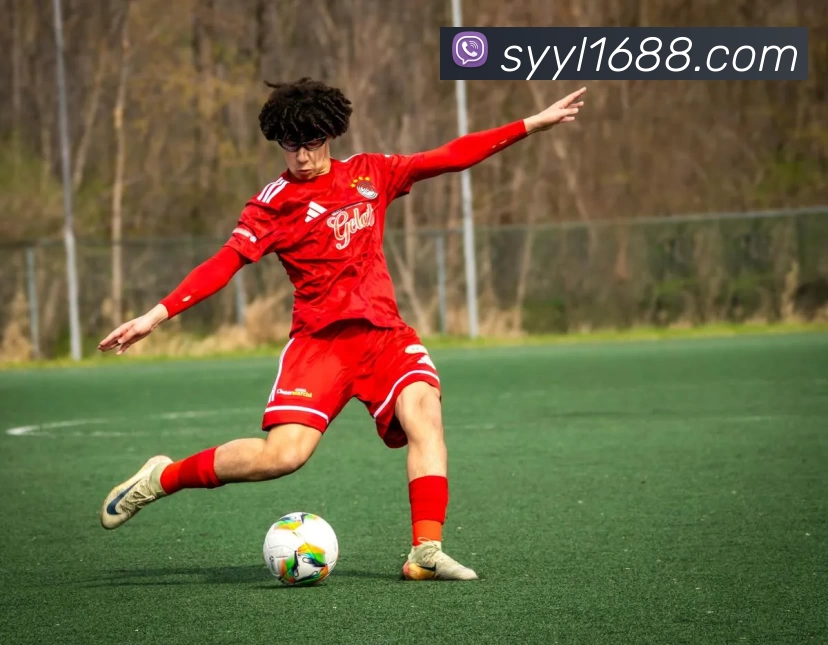 顺盈娱乐官网平台生态图