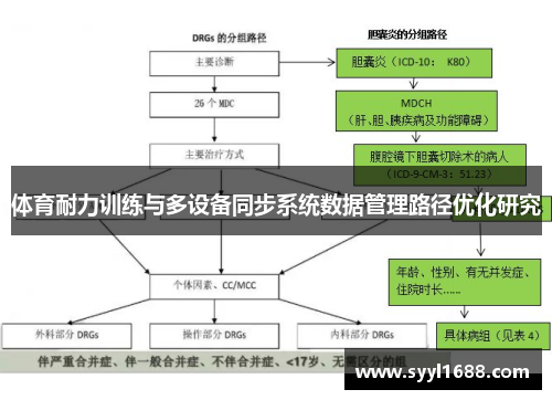 体育耐力训练与多设备同步系统数据管理路径优化研究